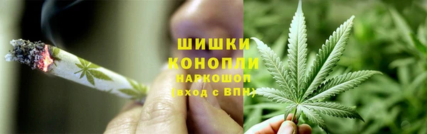 гидропоника Алзамай